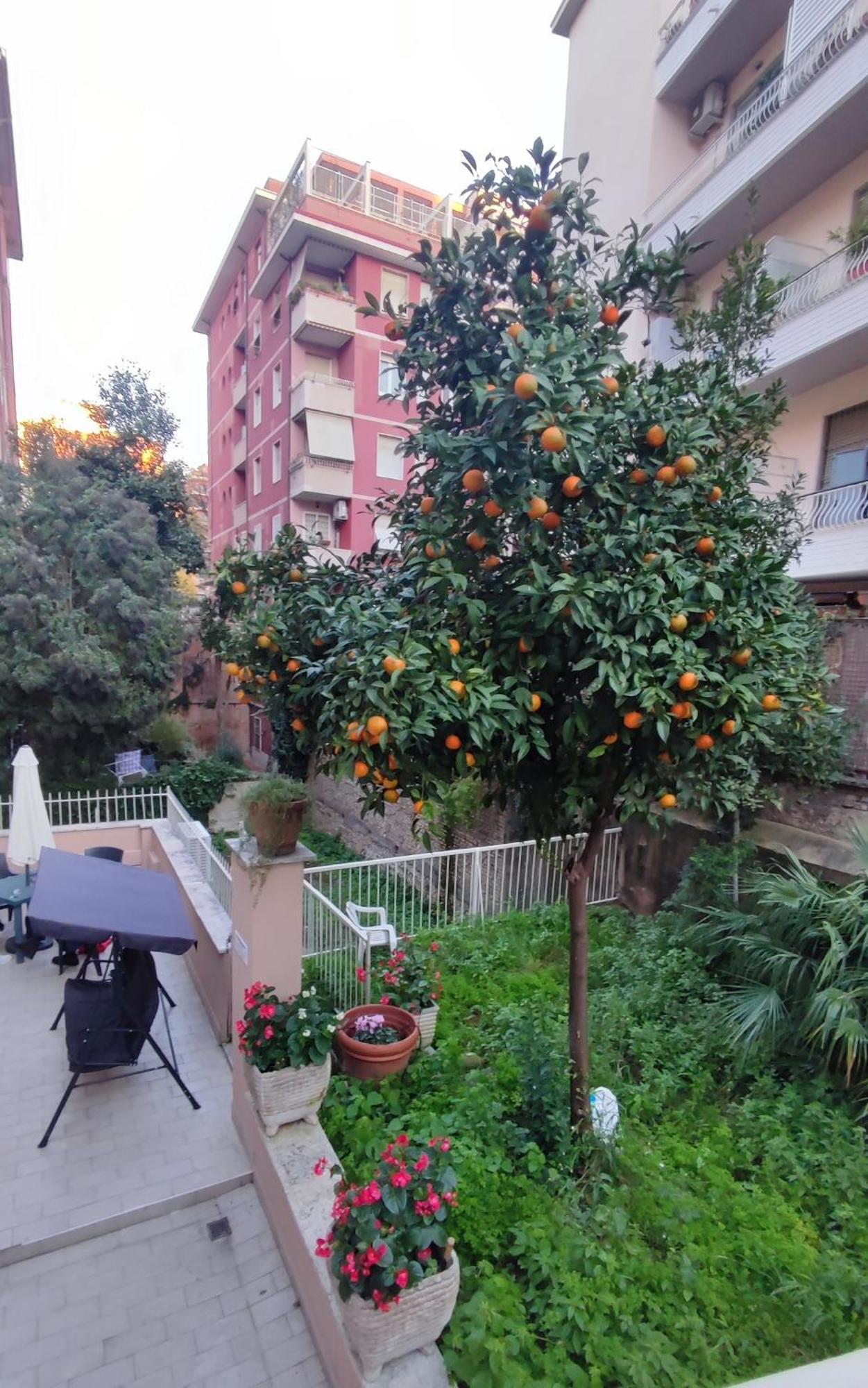 Vatican Green Garden Roma Dış mekan fotoğraf