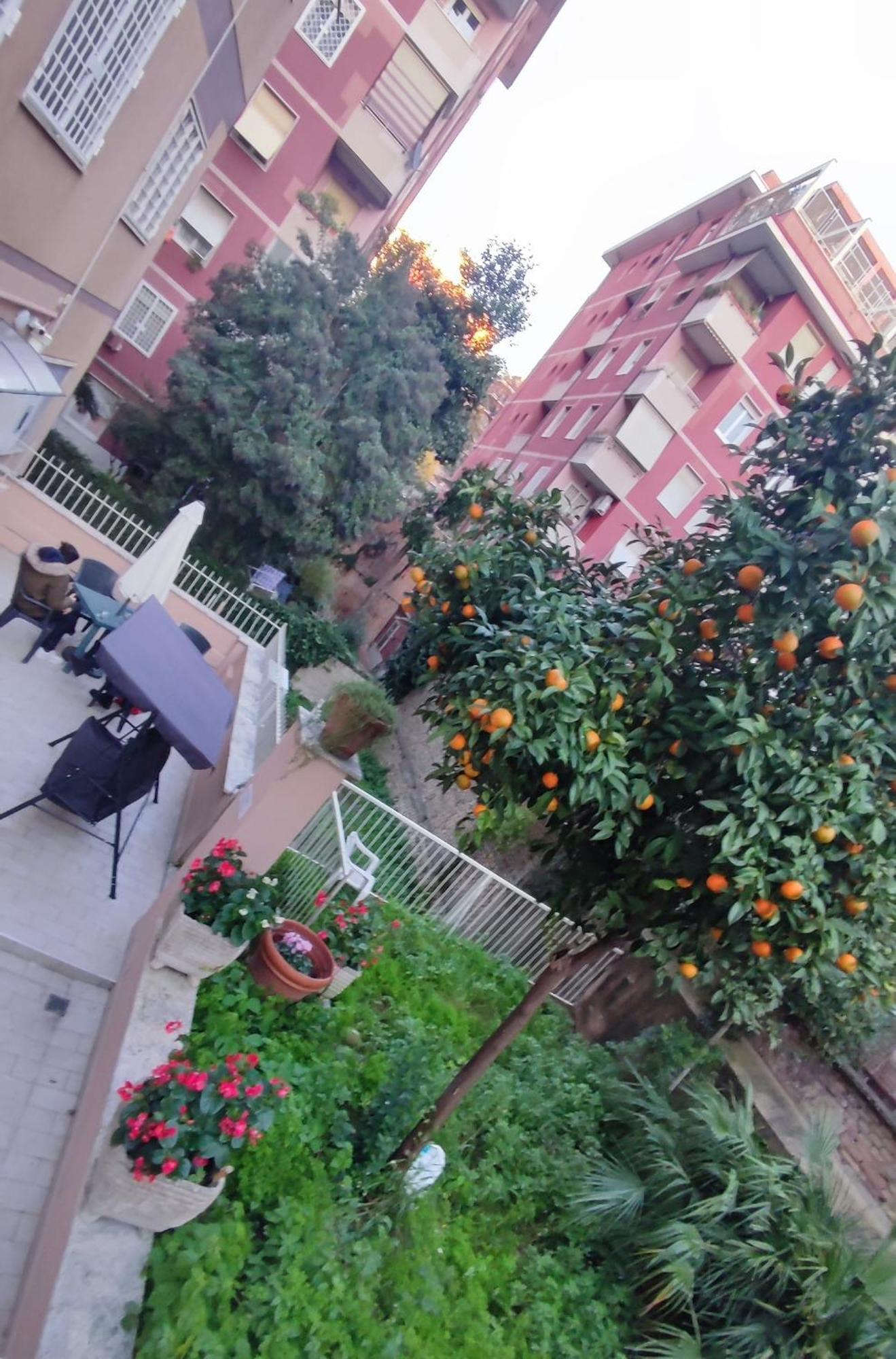 Vatican Green Garden Roma Dış mekan fotoğraf